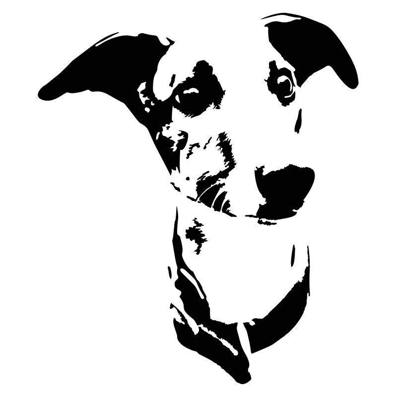 Whippet head