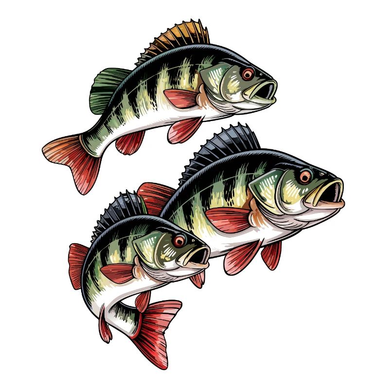 Pêche à la perche