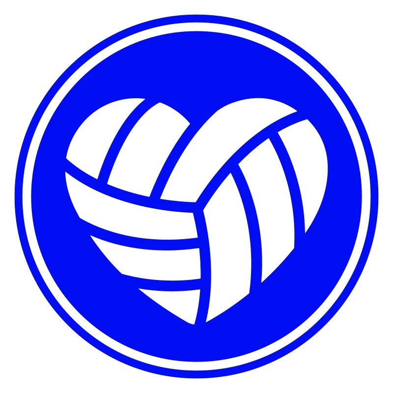 Volleyball herz