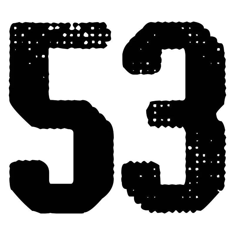 53 Zahl Trikot