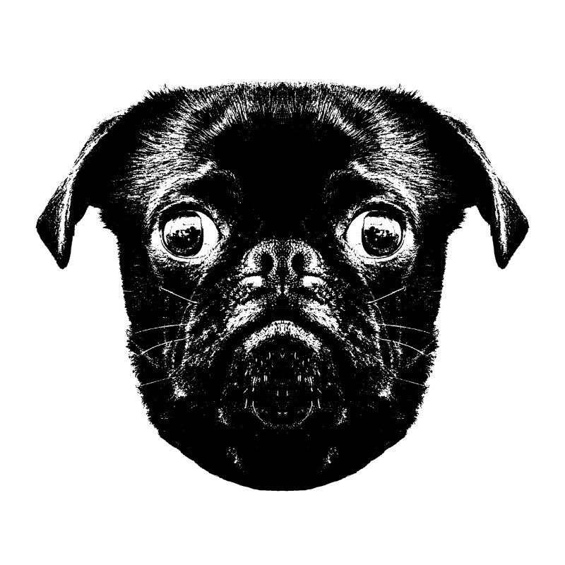 Otto's Mops hopst