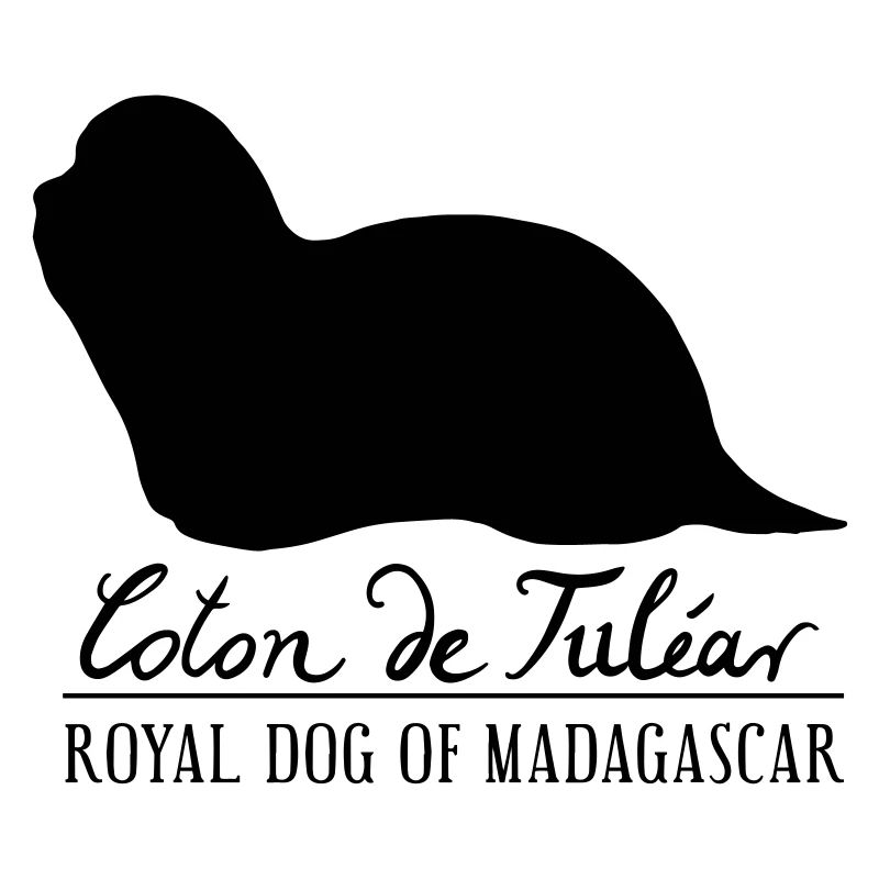 Coton de Tuléar