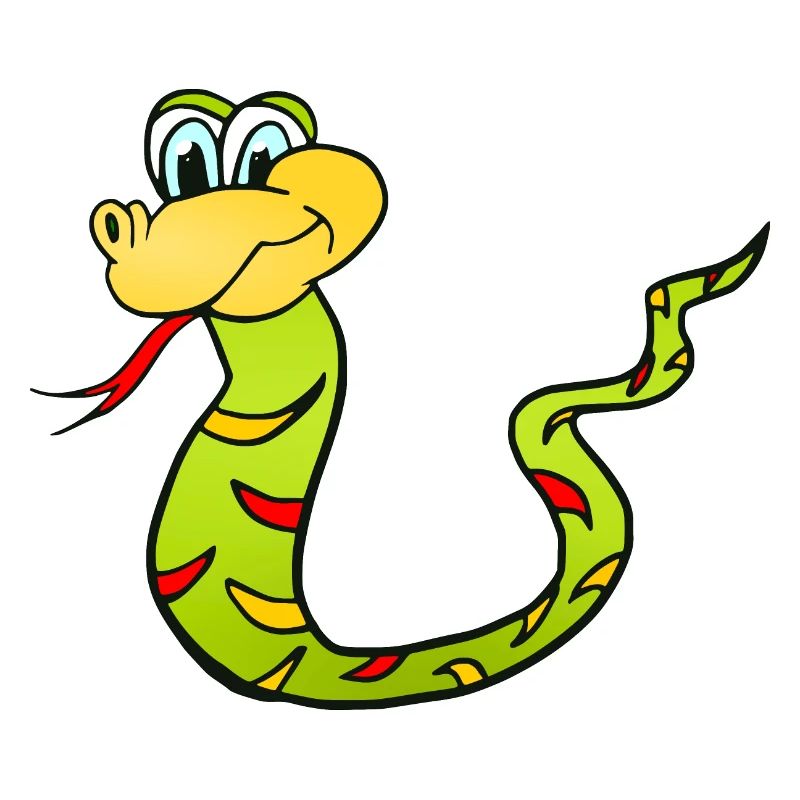 Schlange Snake