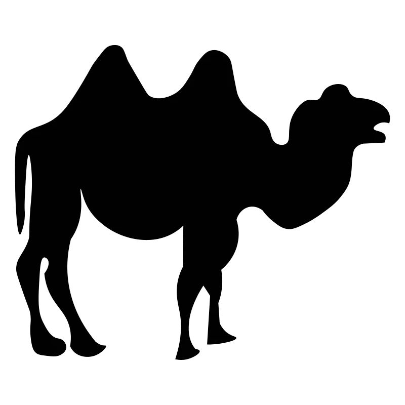 Camel design