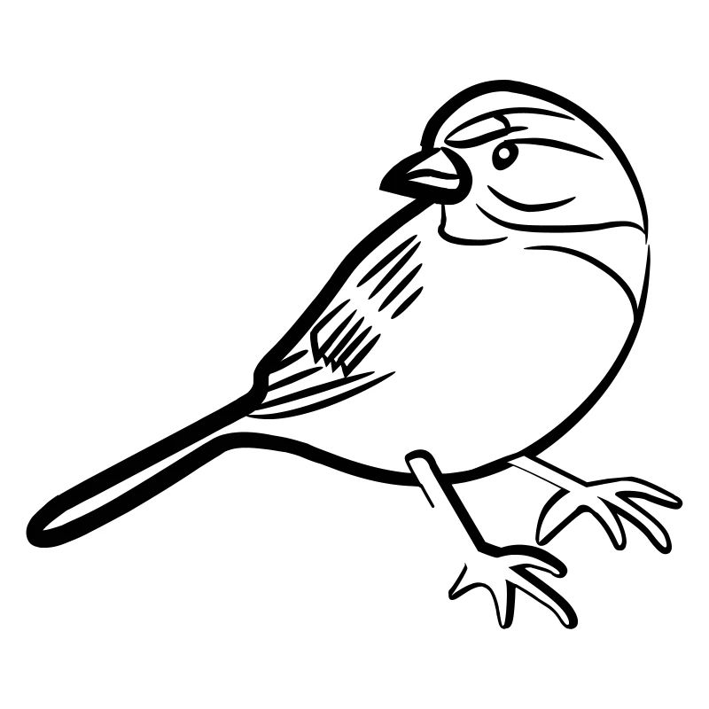 Spatz-Illustration