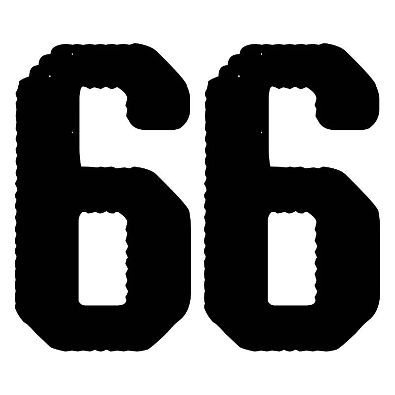 66 Zahl Trikot