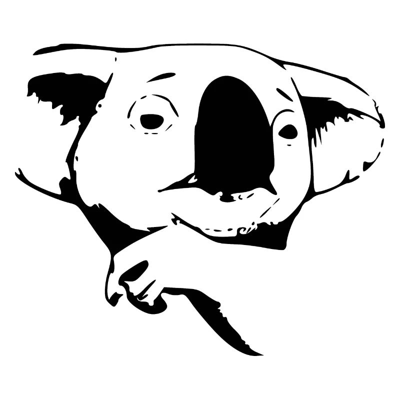 The koala