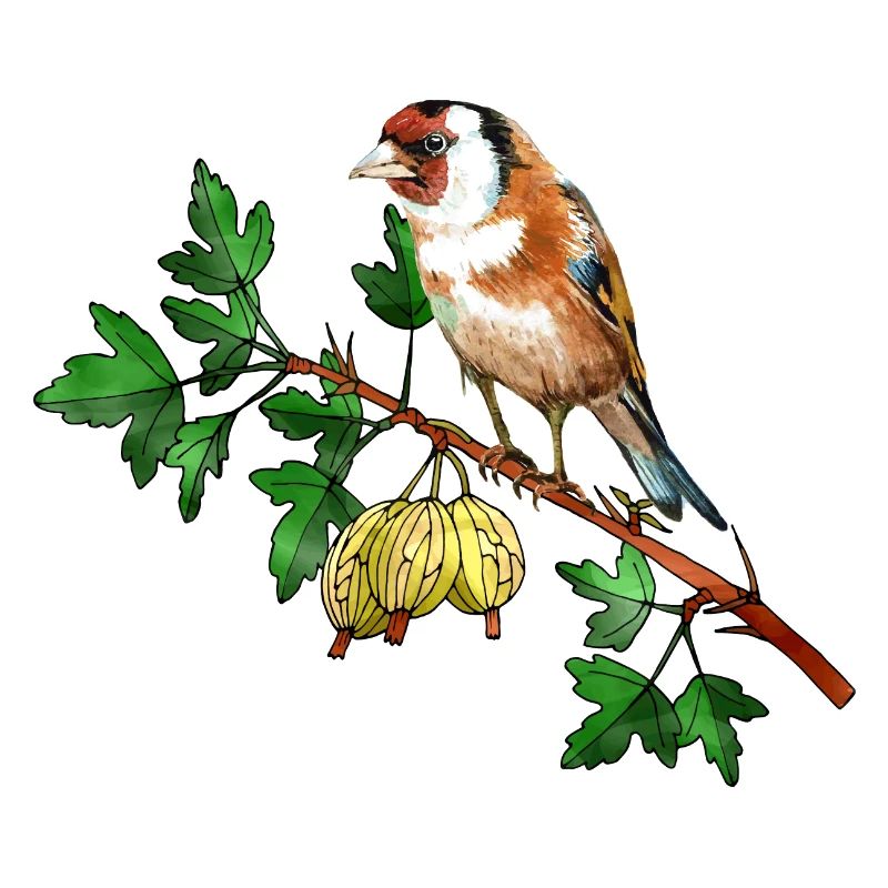 Bunter Vogel