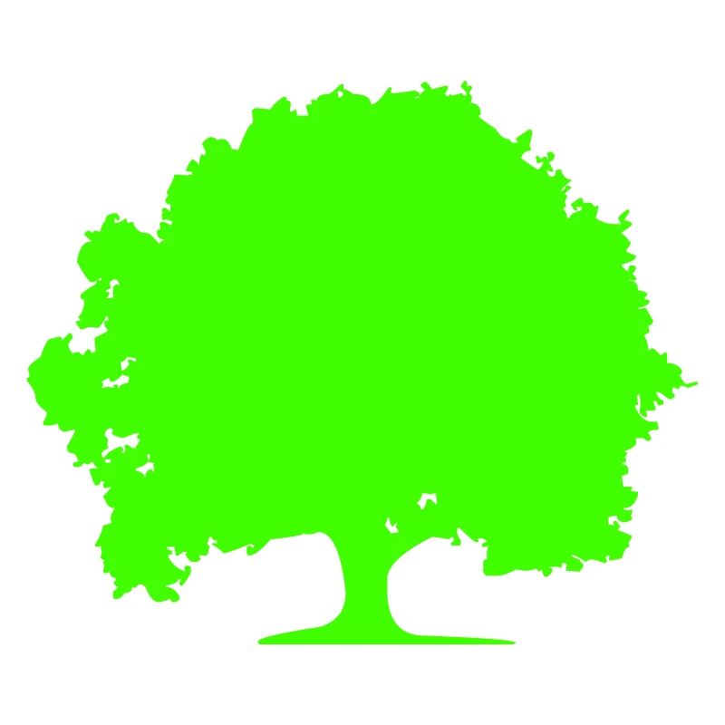 baum