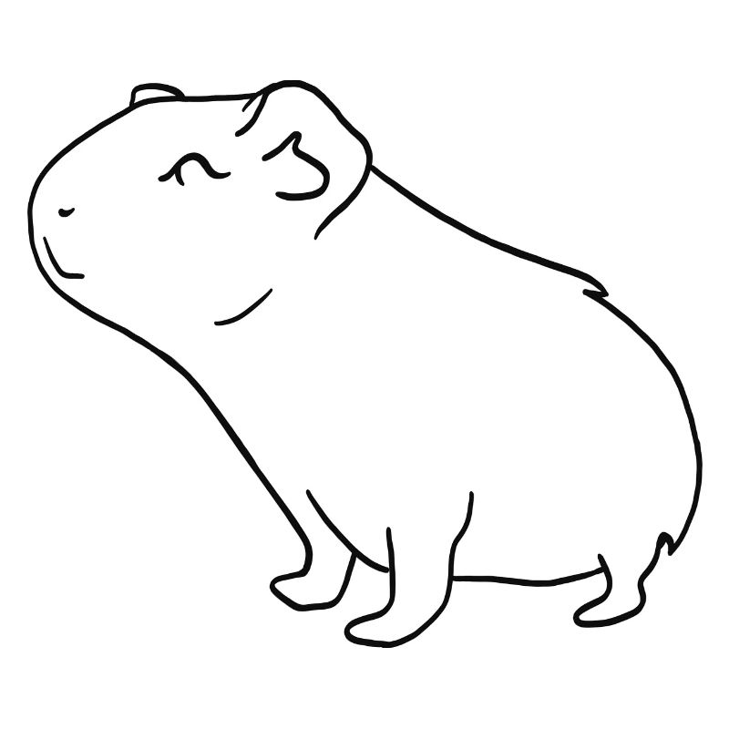 Meerschweinchen