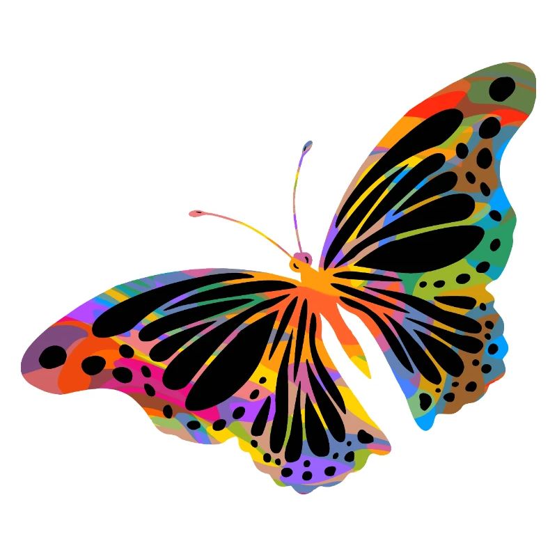 Schmetterling