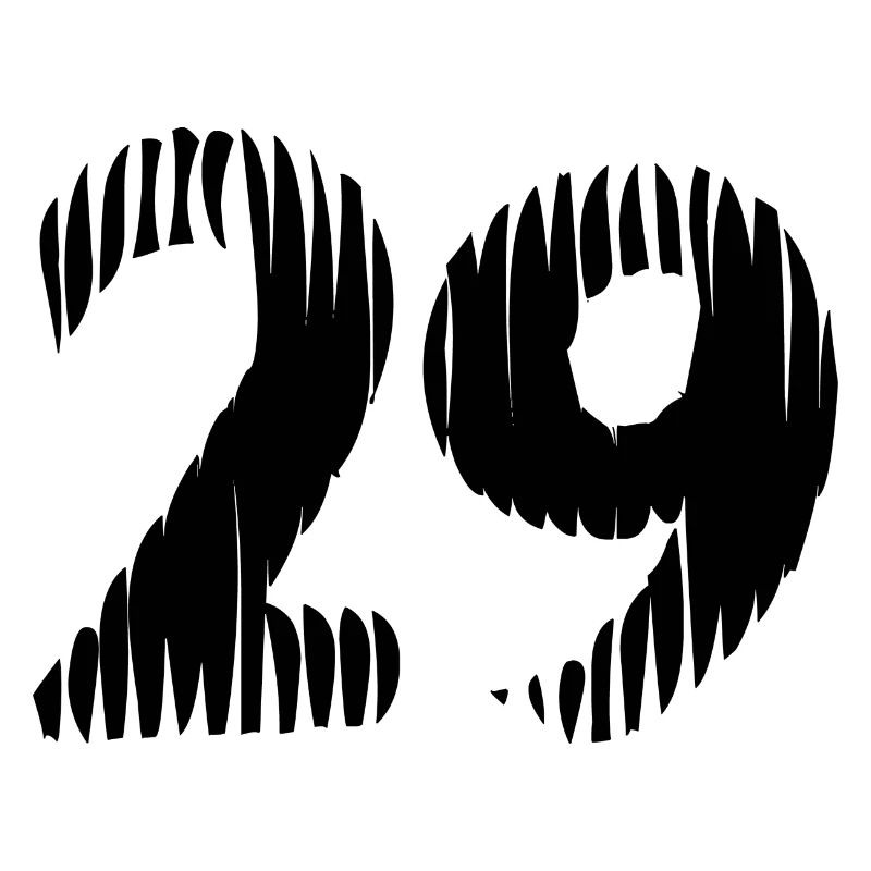 29 Zahl Trikot