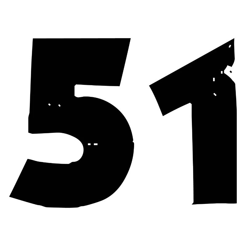 51 Zahl