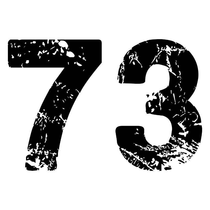 73 Zahl Trikot