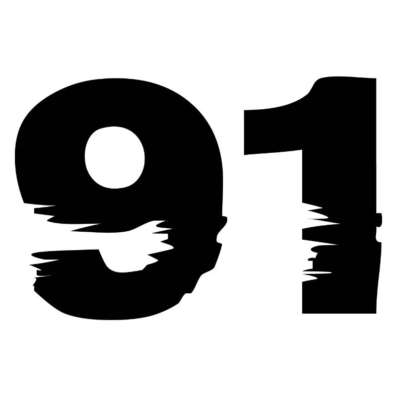 91 Zahl