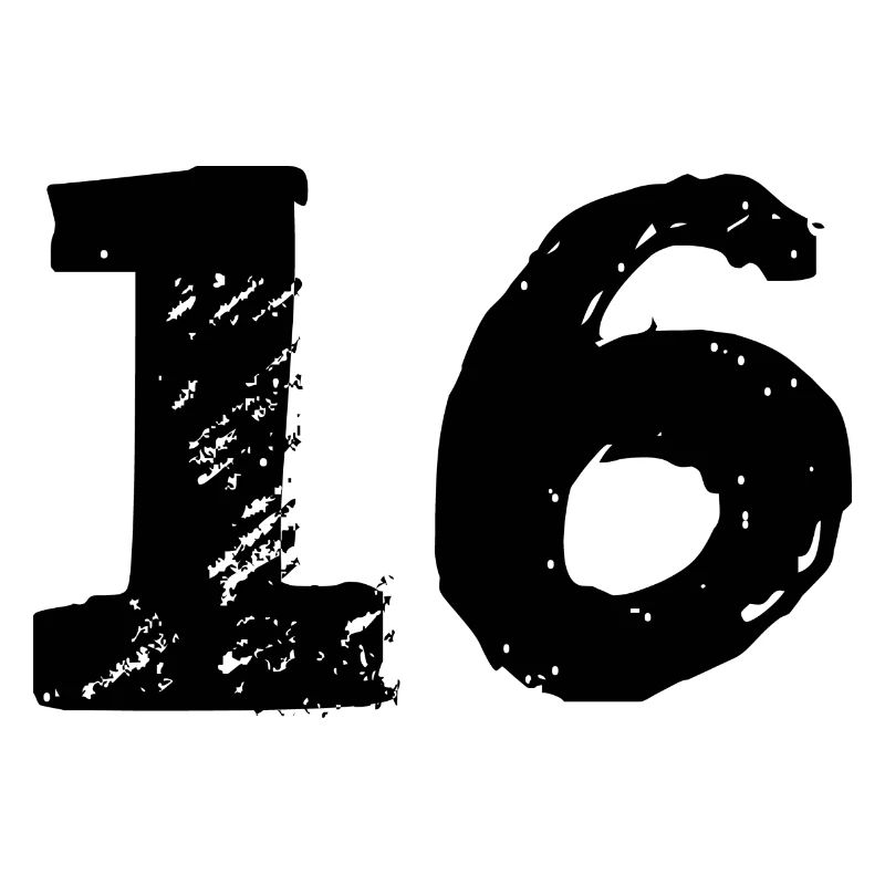 16 Zahl Trikot