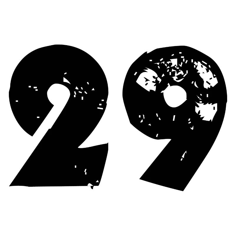 29 Number