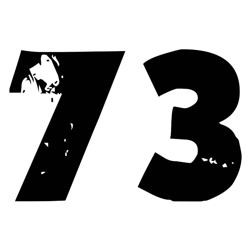 73 Zahl