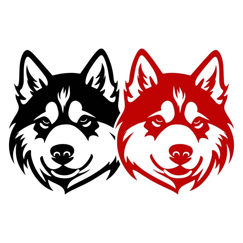 Akita Hund Kopf