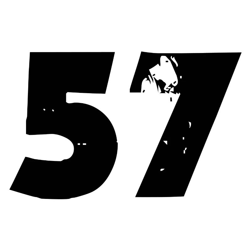 57 Zahl