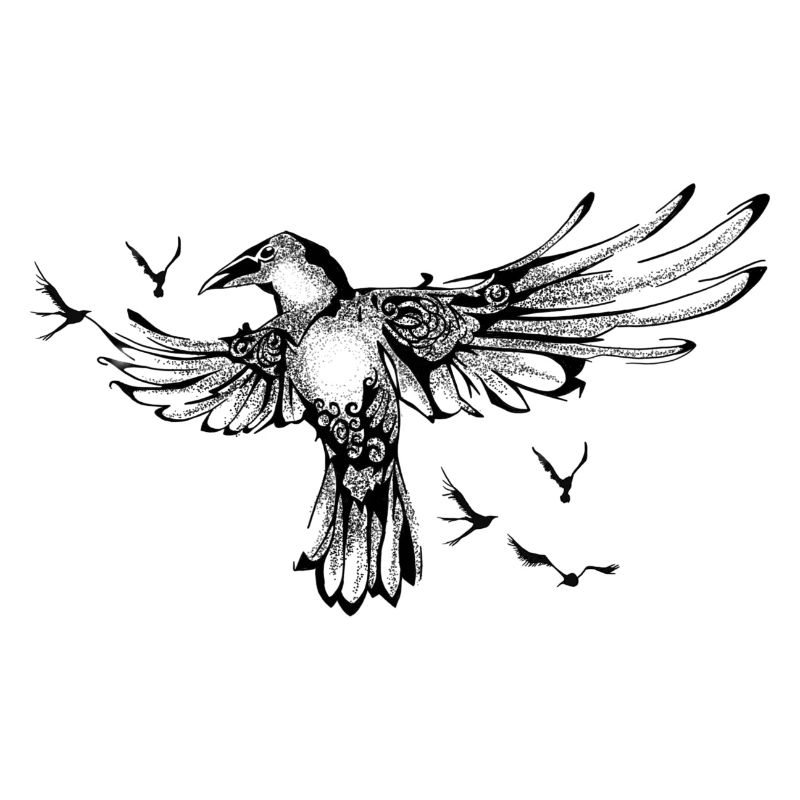 Rabe Freiheit Vogel