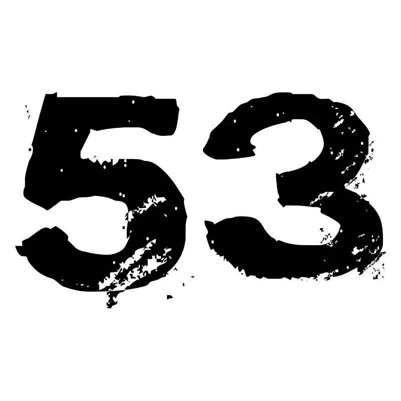 53 Number jersey