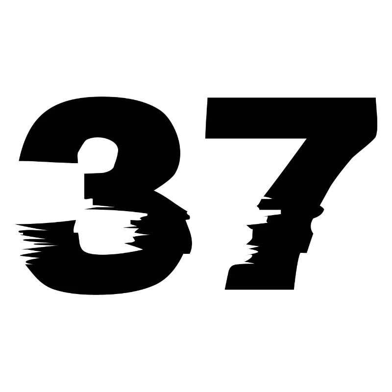 37 Zahl