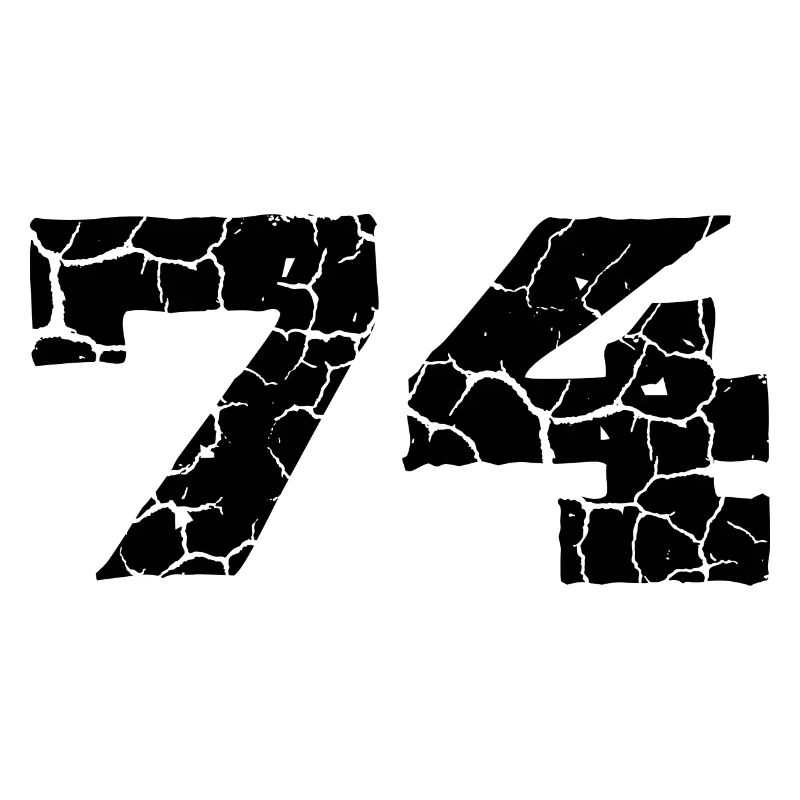 74 Zahl Trikot