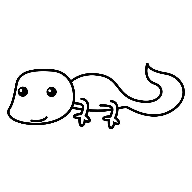 Gecko Comic Tier