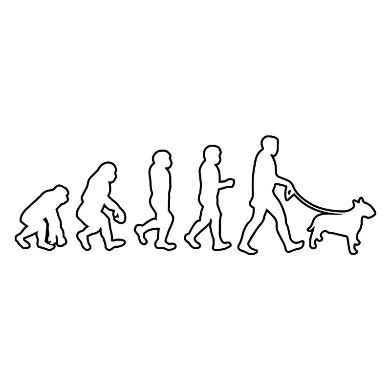EVOLUTION Labrador