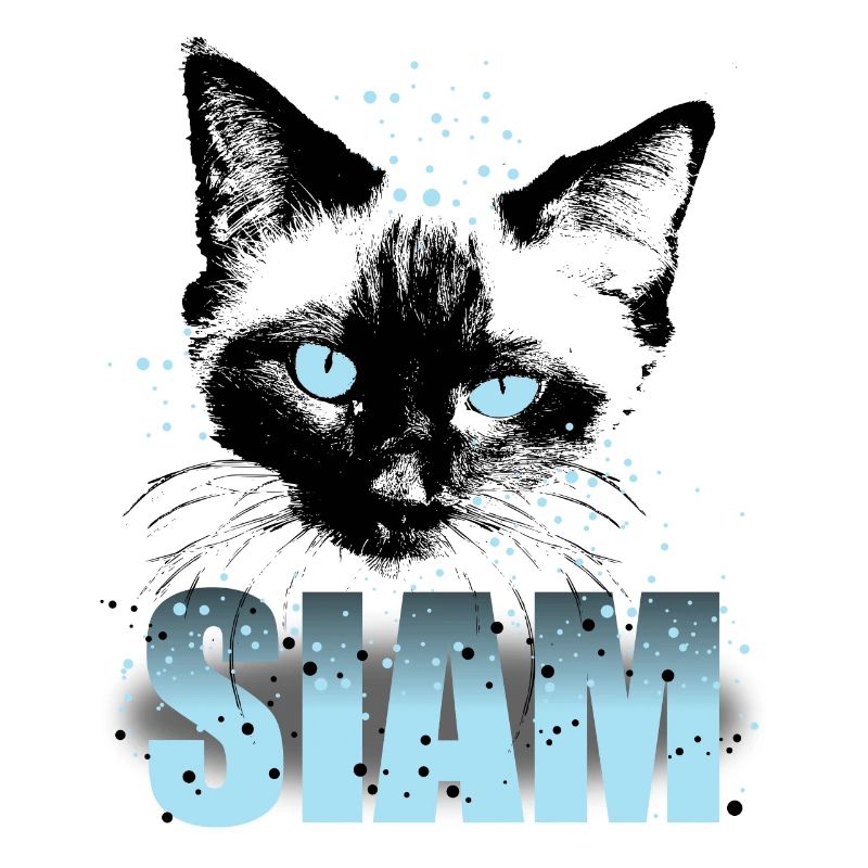 Siamese cat