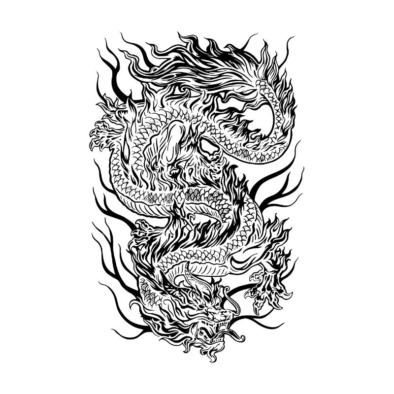 Dragon/Drachen