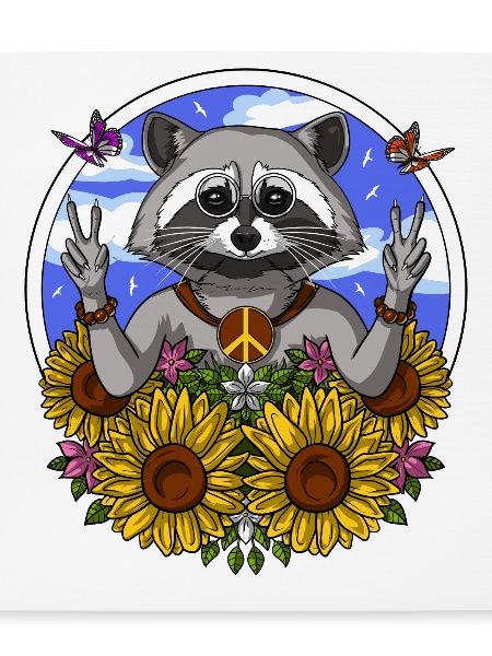 Hippie-Waschbär