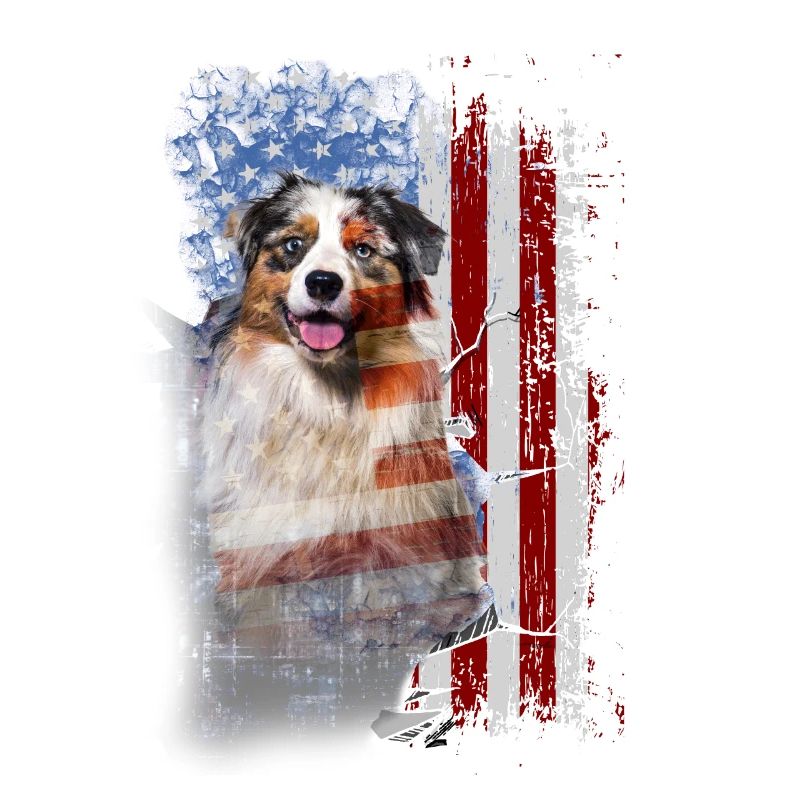 Australian Shepherd