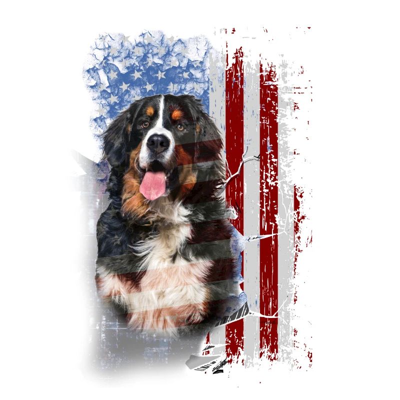 Berner Sennen Hund