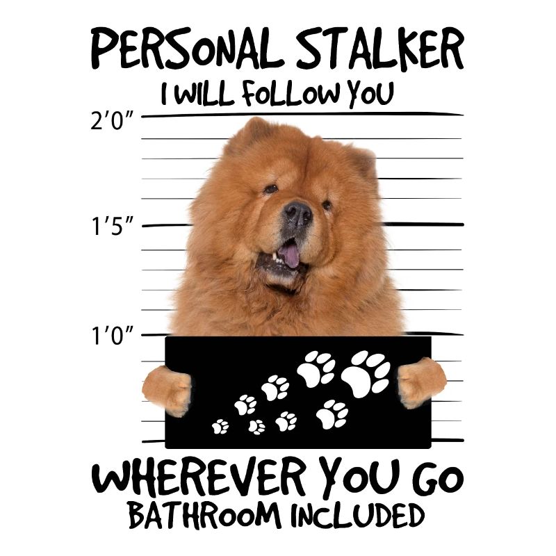 Chow Chow