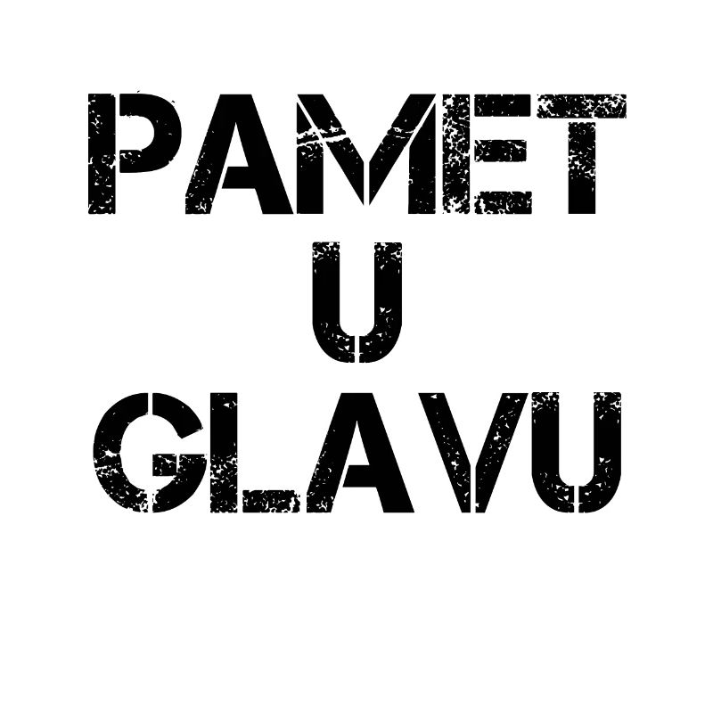 Pamet u glavu