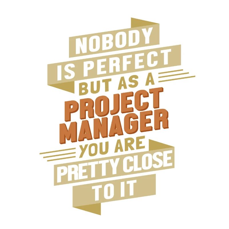 Chef De Projet Proche De Perfect It Chef De Projet