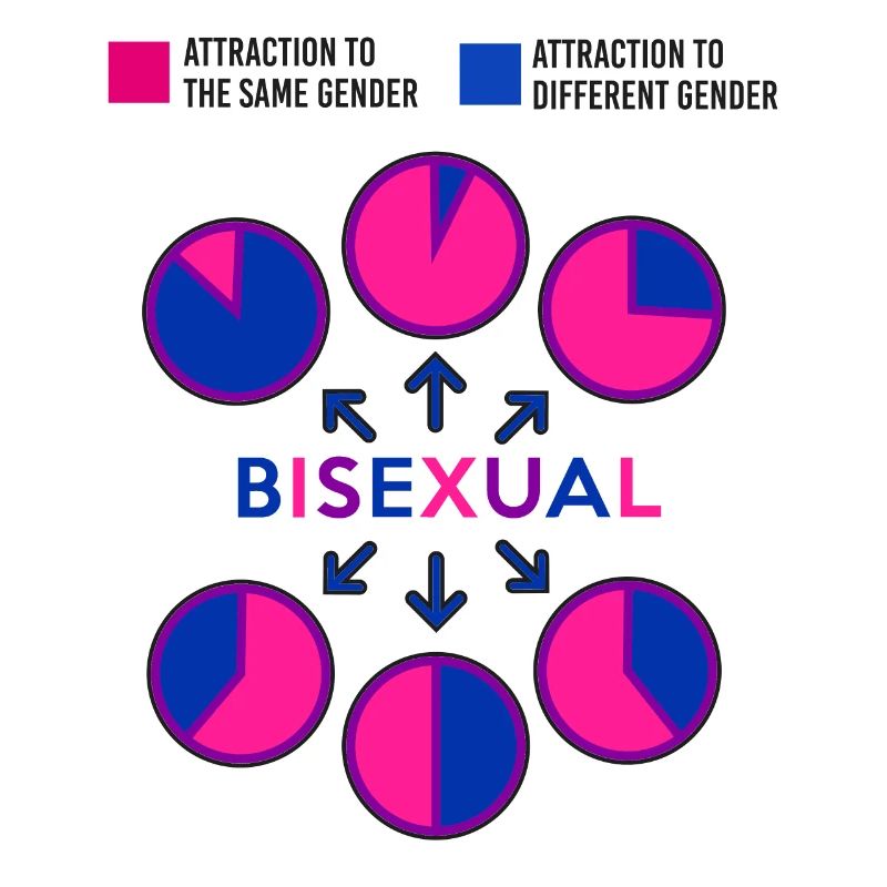 Bisexual Bi Pride Flag Pie Chart