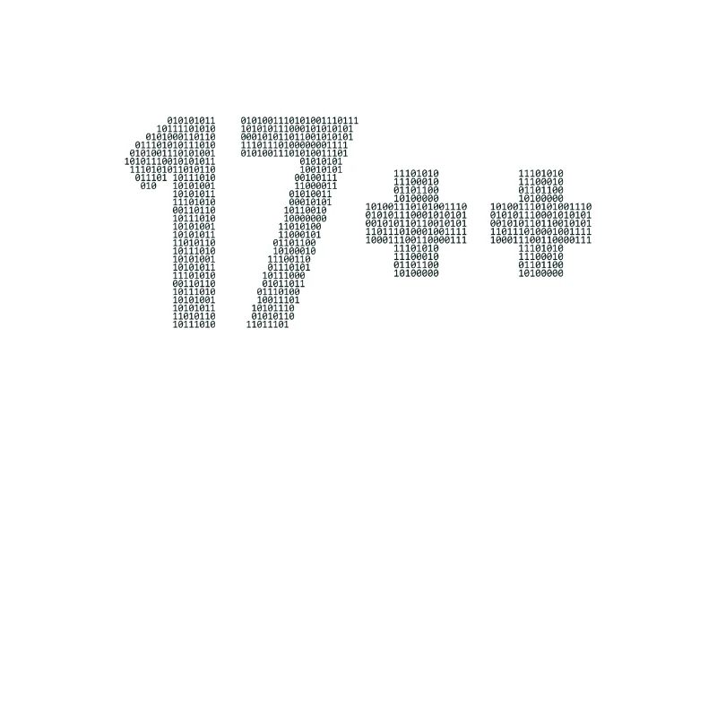 17++ Programmierer Developer Coder 18. Geburtstag