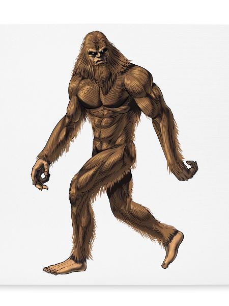 Kryptische Kreatur Bigfoot