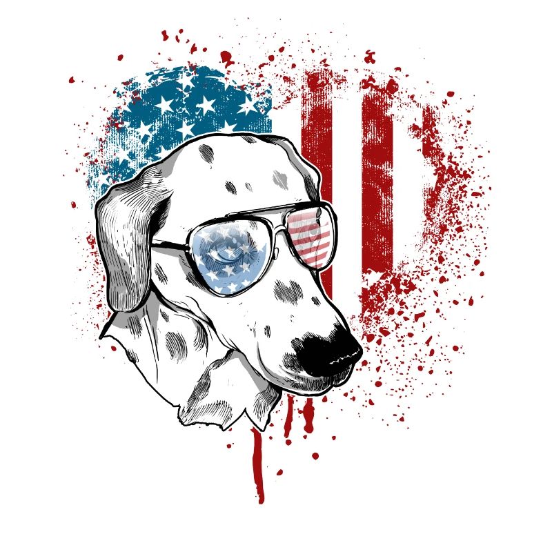 Dalmatiner USA