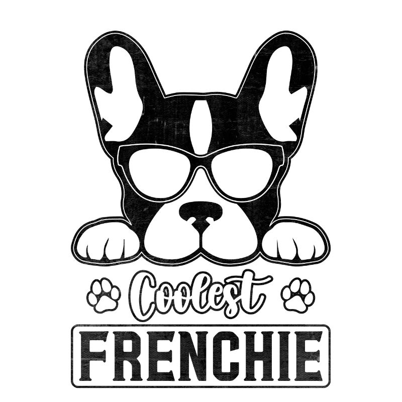 Frenchie le plus cool