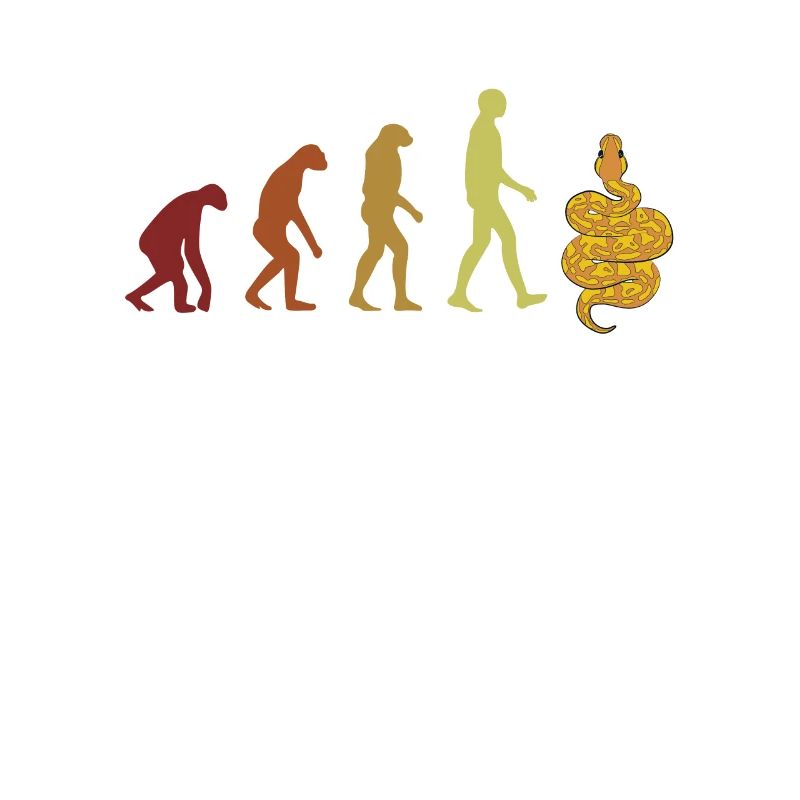 Boule de banane Python Evolution Python Boule de banane