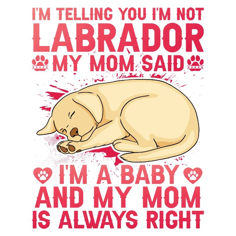 Labrador