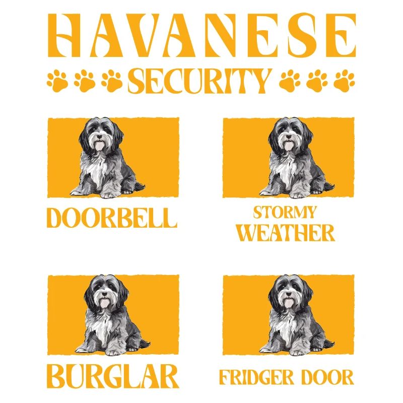 Havanese Security