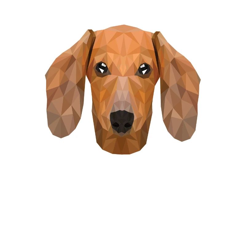 Polygone teckel teckel chien propriétaire de chien teckel