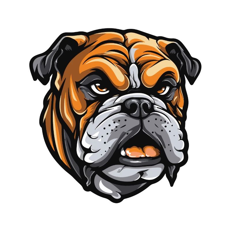 Bulldog Hund Kopf