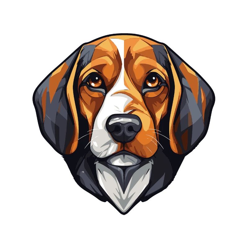 Beagle Hund Kopf