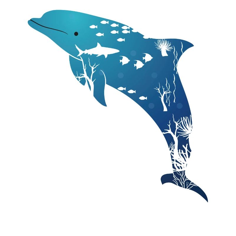 Dolphin Marine Life